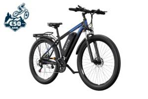 DUOTTS C29 Electric Bike