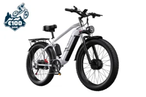DUOTTS F26 Electric Bike